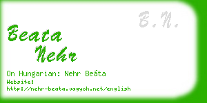 beata nehr business card